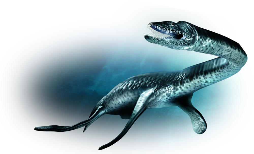 Плезиозавр. Plesiosaurus dolichodeirus. Плезиозавр Юрского периода. Парк Юрского периода Плезиозавр. Несси Плиозавр.